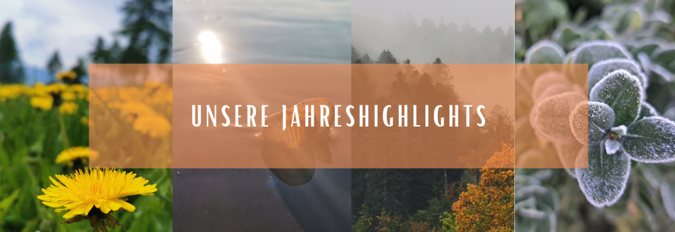 header_unsere_jahreshighlights_und_lieblingsgeschichten.png